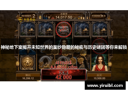 神秘地下室揭开未知世界的面纱隐藏的秘密与历史谜团等你来解锁